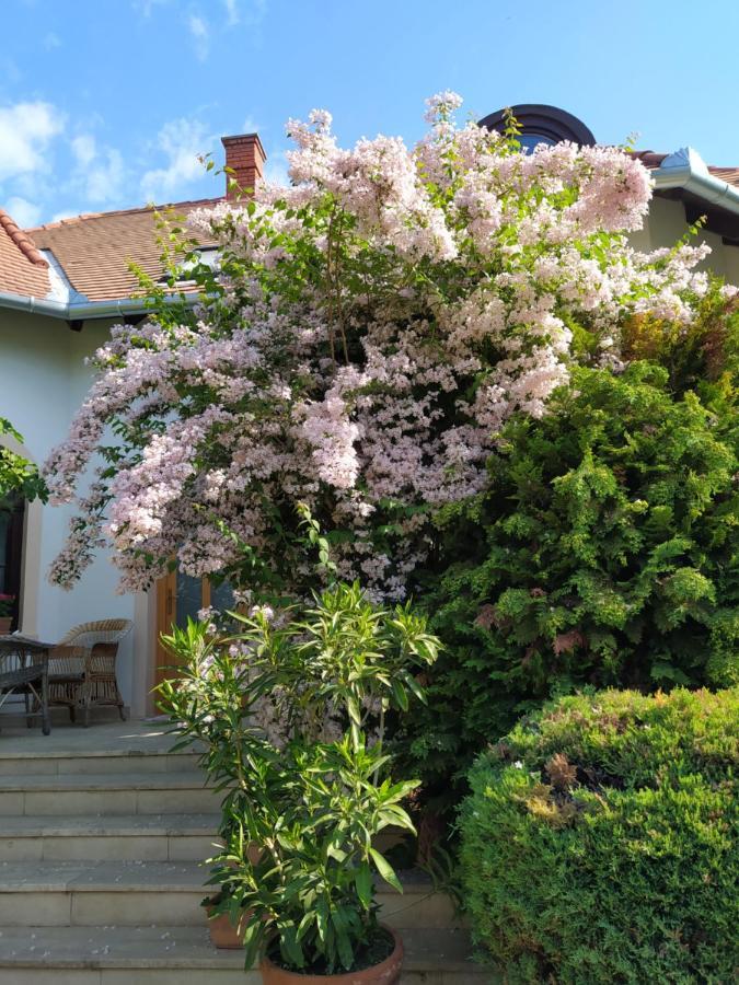 Frutta Villa Черсегтомай Экстерьер фото
